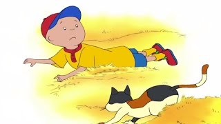 Caillou Full Episode Farmer Caillou  Videos For Kids [upl. by Selda]