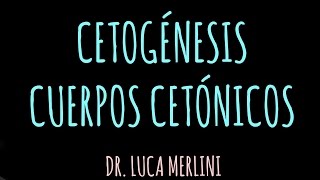 Cetogénesis Cuerpos Cetónicos [upl. by Davine]