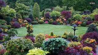 Best ideas  Top 80 Garden Small Backyard Landscaping  Beautiful Gardens Ideas [upl. by Amalburga384]