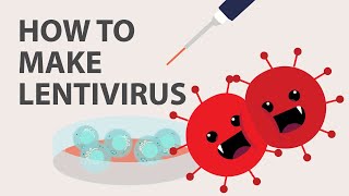 The Basics of Lentivirus ProductionPackaging Protocol Tips and more [upl. by Drud]