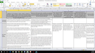 How to Create a Literature Matrix Excel [upl. by Cecelia]