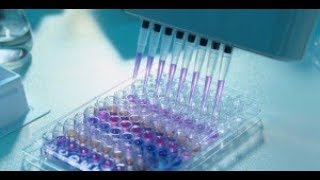 Test ELISA [upl. by Colton581]