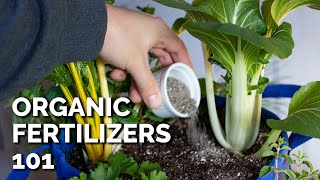 14 Organic Fertilizers and How to Use Them [upl. by Ylram]