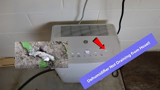 Dehumidifier Not Draining From Hose [upl. by Kaitlynn]