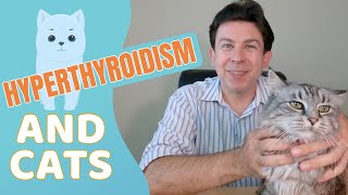 Hyperthyroidism and cats [upl. by Lukash]