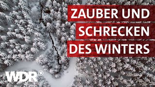 Wenn der Winter kommt  Heimatflimmern  WDR [upl. by Aikemal]