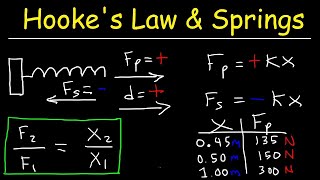 Hookes Law and Elastic Potential Energy [upl. by Swirsky]