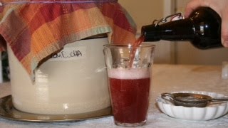 How to Make Fizzy Kombucha at Home [upl. by Moreen]