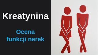 Kreatynina  marker oceny funkcji nerek [upl. by Hayila]