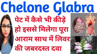 Chelone Glabra  Chelone Glabra Homeopathic Medicine  पेट में कीड़ों की अचूक दवा  लिवर की दवा [upl. by Epp184]