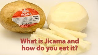 Jicama [upl. by Burns960]