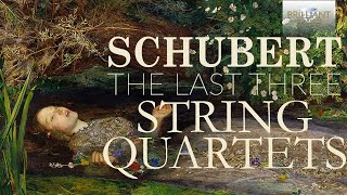 Schubert The Last Three String Quartets [upl. by Einyaj]