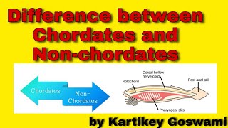 Difference between chordates and non chordates [upl. by Yatnahs972]