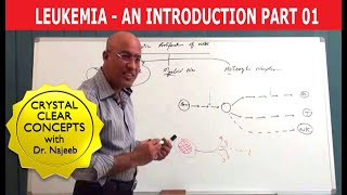 Leukemia  Causes and Symptoms  Part 13 [upl. by Maice]