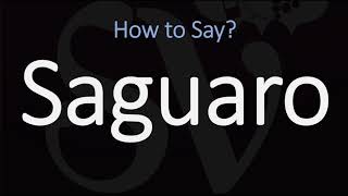 How to Pronounce Saguaro CORRECTLY [upl. by Rozek]