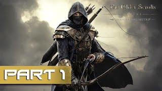 The Elder Scrolls Online Tamriel Unlimited  Gameplay Walkthrough Part 1  So Much Has Changed [upl. by Adroj]