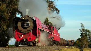 South Africa Steam 2019  Part 2 of 2 The Red Devil [upl. by Eddina580]