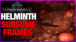 SUBSUME amp SECRETIONS  Helminth Guide [upl. by Annahsohs]