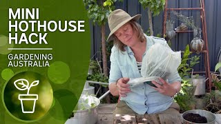 Cheap and easy hothouse  DIY garden projects  Gardening Australia [upl. by Yrolg720]