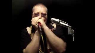 Big Boss Man  blues harmonica [upl. by Preiser]