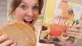 How to BREW YOUR OWN KOMBUCHA  how to MAKE KOMBUCHA at home  Kombucha Tea [upl. by Milak]