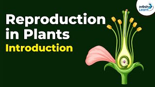 Introduction to Reproduction in Plants  Dont Memorise [upl. by Tadeas312]