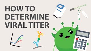 Lentivirus Titration How to Determine Viral Titer [upl. by Mitran928]