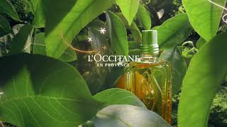 Holiday 2020  LOccitane [upl. by Kciredorb636]