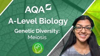 AQA A Level Biology Meiosis [upl. by Notnroht]