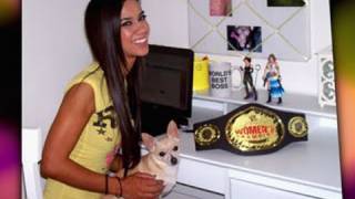 Natalya vs AJ Lee SmackDown June 28 2013 [upl. by Mari]