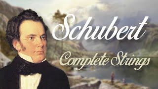 Schubert Complete String Quartets [upl. by Nnitsuj88]