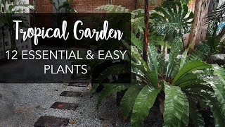 Top 12 MustHave amp Easy Plants for a lush Tropical Garden [upl. by Enelec]