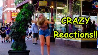 Bushman Prank 2021 Love Laughter amp Screams [upl. by Ibmab609]