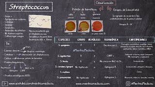 Streptococcus  Estreptococos ¡FÁCIL EXPLICACIÓN  Mentes Médicas [upl. by Aicnarf883]