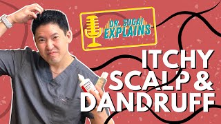 Dr Sugai Explains Itchy Scalp and Dandruff What Shampoos to Consider [upl. by Olimreh]