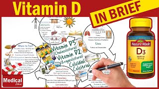 Vitamin D3 Cholecalciferol  Vitamin D2 Ergocalciferol  Calcitriol Sources Uses Dosage [upl. by Dinerman189]