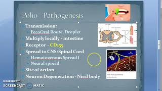 Microbiology 494 b PolioMyelitis Pathogenesis Polio Virus [upl. by Akineg]