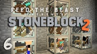 StoneBlock 2 Modpack Ep 6 Automatic Sieve Setup  Item Sorting [upl. by Nnairak483]