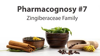 7 Zingiberaceae Family  Pharmacognosy [upl. by Assiluy330]