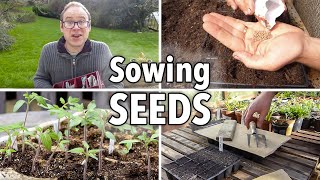 Sowing Seeds Absolutely Everything You Need to Know [upl. by Inot]