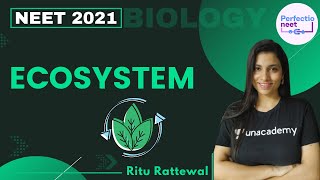 Ecosystem  NEET Biology  NEET 2021  Ritu Rattewal [upl. by Hazaki]