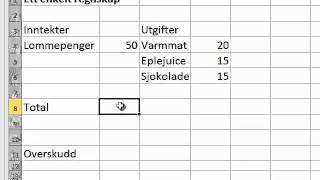 Enkelt regnskap på Excel [upl. by Tamar142]