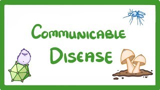 GCSE Biology  Communicable Disease 34 [upl. by Atiken]