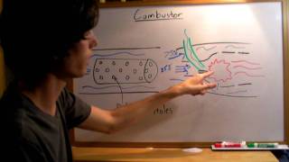 Combustor  Explained [upl. by Cybil]