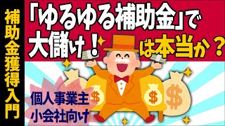 【ゆるゆる補助金で大儲け！は本当か】個人事業主･小会社向け補助金･助成金で成功する人､失敗する人【入門事業計画･申請書書き方商工会議所持続化補助金中小企業診断士ほらっちchコラボ2023】 [upl. by Alden]