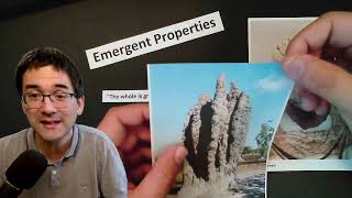 What are Emergent Properties [upl. by Emmer]