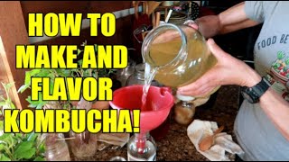 KOMBUCHA FOR DUMMIES  HOW TO MAKE AND FLAVOR [upl. by Abdella27]