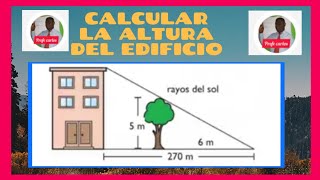 TEOREMA DE TALES Calcular la altura de un edificio [upl. by Nicole608]