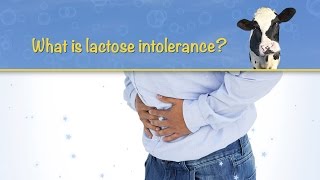 What is lactose intolerance [upl. by Danell]