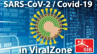 SARSCoronavirus2 data in ViralZone [upl. by Ines]